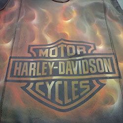 custom airbrushed leather jacket_Skulls and Flames